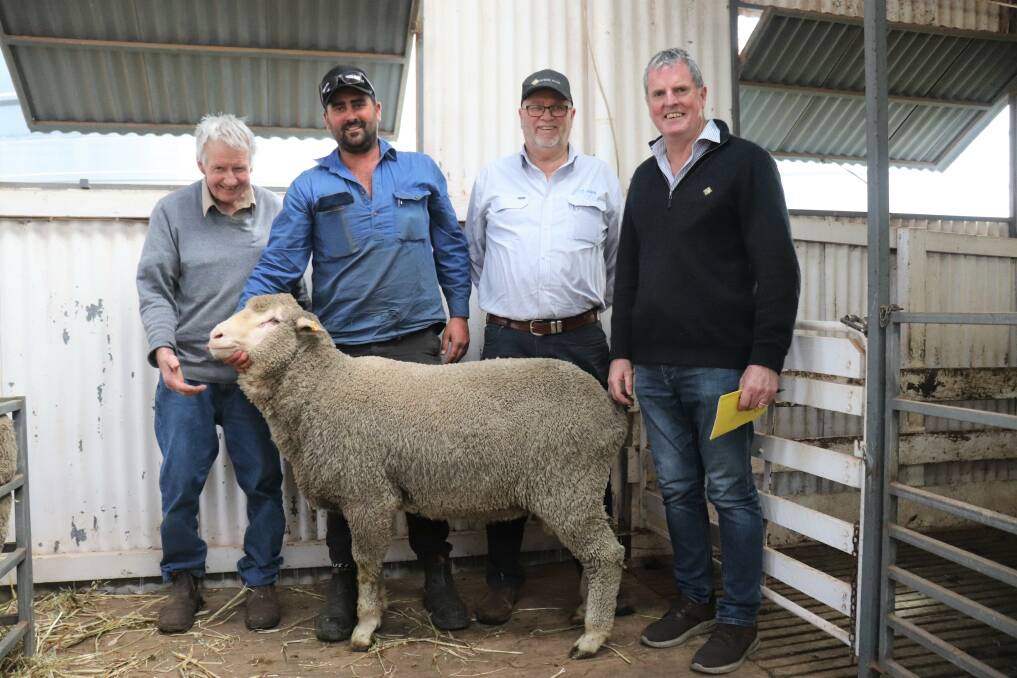 Fern Park Poll Merino stud principal Kevin Pauley (left), buyer Bryce Sinclair, BP Sinclair, East Newdegate, auctioneer Don Morgan, AWN and Dyson Jones Wool Marketing Services director John Stothard with the $2350 top-priced ram after the onfarm sale.