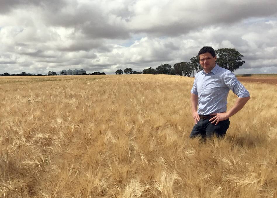 Nathan Cattle, Clear Grain Exchange, can't help but feel growers are missing an opportunity to fully capitalise on the set of circumstances they have at present and thinks growers could be offering grain for sale at prices closer to export parity.