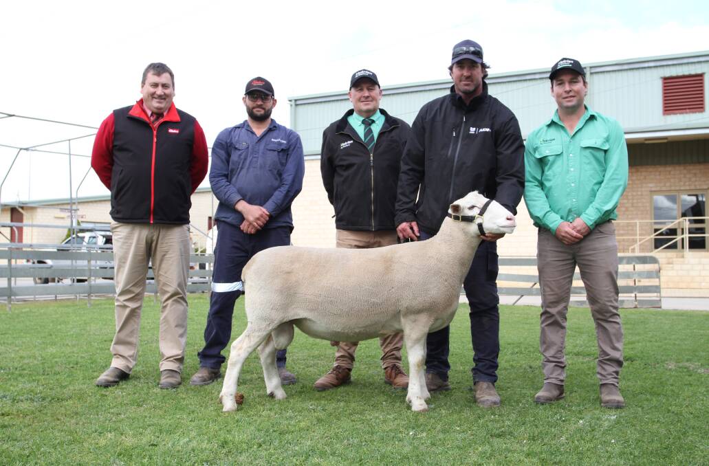 The White Suffolk ram from the Golden Hill stud, Kukerin, was the second top-priced British and Australasian breed ram for the season when it sold for $9000 at the WA Elite White Suffolk and Suffolk ram and ewe sale at Wagin in August. With the ram were Elders stud stock manager Tim Spicer (left), buyer Michael Potter, Boree Park White Suffolk stud, Rhodes Pastoral Pty Ltd, Boyup Brook, Nutrien Livestock Breeding representative Roy Addis, Golden Hill White Suffolk stud co-principal Nathan Ditchburn and Nutrien Livestock, Dumbleyung agent Scott Jefferis.