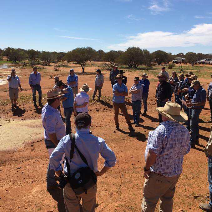 One of the Southern Rangelands Pastoral Alliance activities during the year was a pastoral rehydration field trip at Yoweragabbie station, Mt Magnet.