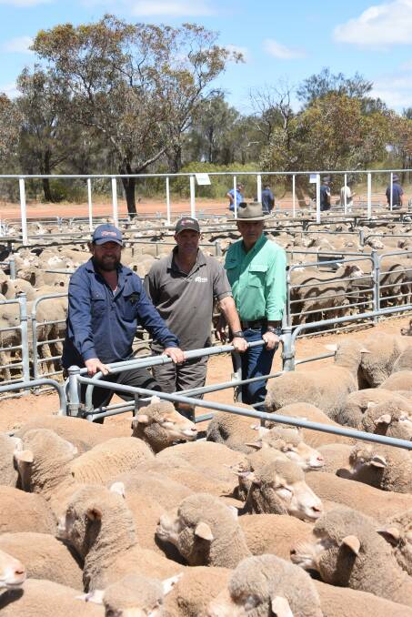 This line of 193 July shorn, Claypans blood 1.5yo ewes offered by JA & KJ Bell, Corrigin, sold for the $268 equal top price at Corrigin. With the line is Claypans co-principal Steven Bolt (left), buyer Andrew Poultney, who purchased the ewes for his uncle Ross Poultney and Nutrien Livestock regional manager Leon Giglia.