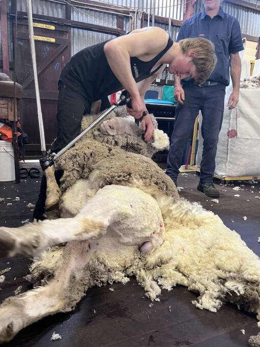 A few weeks ago Blake McFarlane recorded a personal best in shearing with 200 sheep shorn a day.
