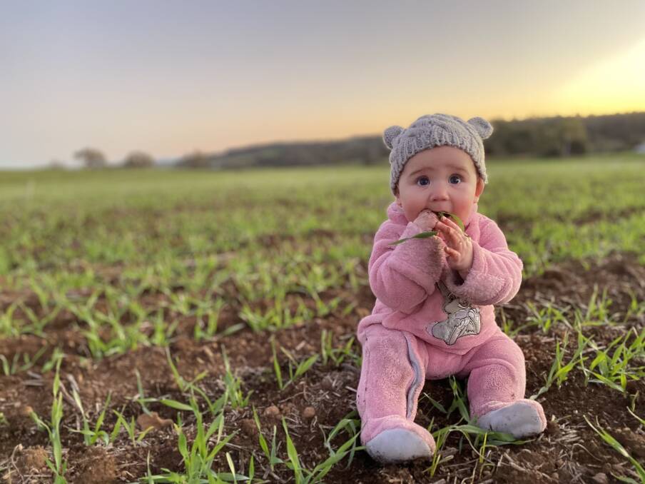 Little farmer Montana White, five months, was inspecting the barley crop at Wandering. Her dad, Brook White, said so far the farm has had a good amount of rainfall and even germination among both the barley and canola crops. "While it's still early days, 2021 is looking like a promising year," Mr White said. "Our biggest adjustment this season has been the arrival of our tiniest farmer Montana, which has called for a few adjustments to allow her to have as much involvement as possible in the daily routine on our family farm." Photo by Veronica Eastermann.