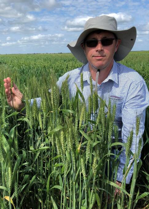 LongReach wheat breeder western region Scott Sydenham.