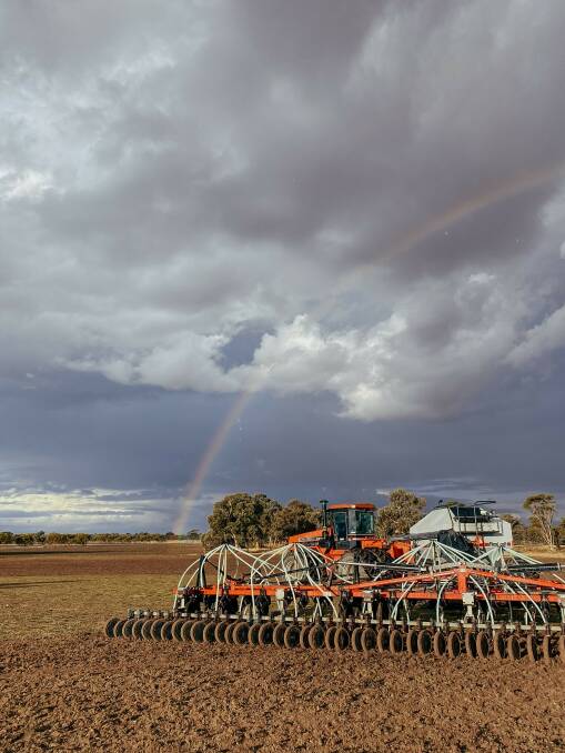 Beast barley being seeded in mid-May at Yealering. Photo by Sarah Corke.