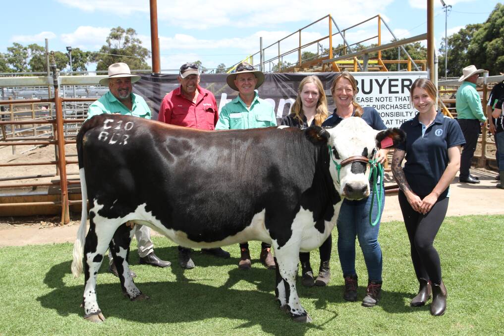 Black Dog Ride charity heifer Clementine 10, a Poll Hereford-Friesian first cross heifer PTIC to a Limousin bull and due to calve from February 17, 2022, donated by the Daubney Family, Bannister Downs Dairy, Northcliffe, sold for $3100 to the Dunnet family, OM Dunnet & Co, Nannup, for the fourth year running at the Nutrien Livestock mated first cross female sale at Boyanup last week. With Clementine 10 were Nutrien Livestock South West livestock manager Peter Storch (left), Peter Milton, Dardanup, who prepared the heifer, Jock Embry, Nutrien Livestock, Margaret River/Busselton, who purchased the heifer for the Dunnets and Bannister Downs' Dana Collins, Kellie Howard and Alexandria Seaborn.