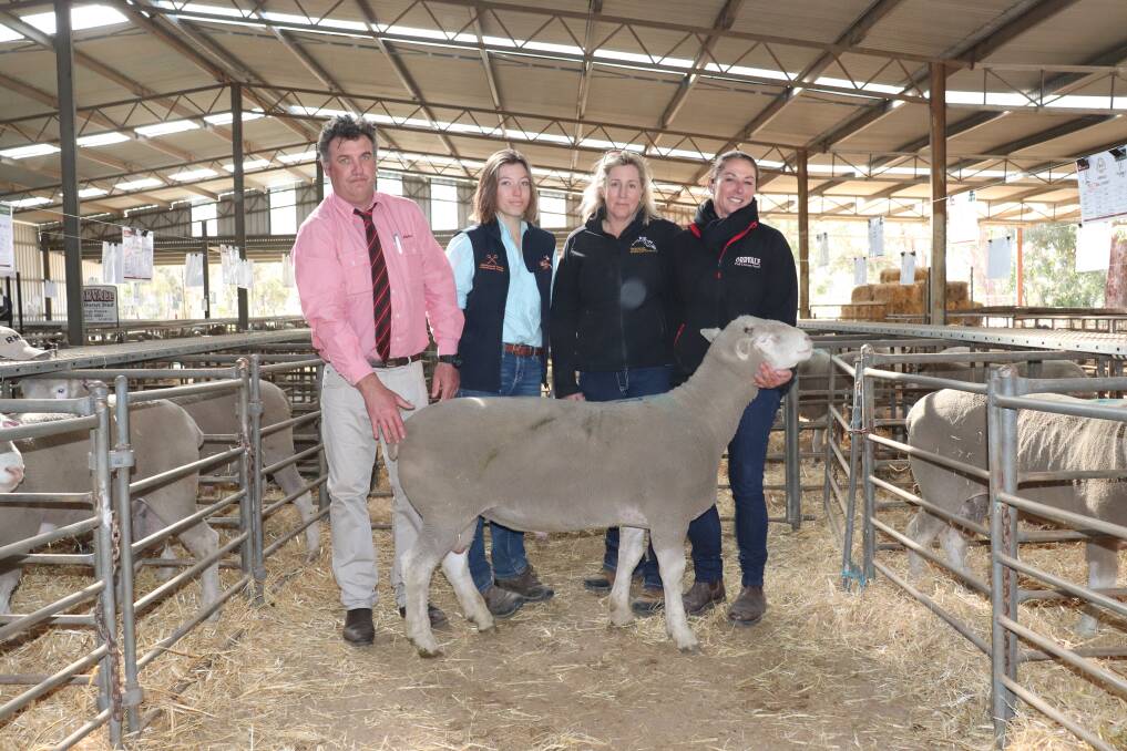 Elders Kojonup agent, Jamie Hart, with buyers Elisa Crook (left), 16, and her mum Pip Crook, Kojonup, and Orrvale stud's, Felicity Hallett, with the top-priced Orrvale Poll Dorset ram that sold for $3200.