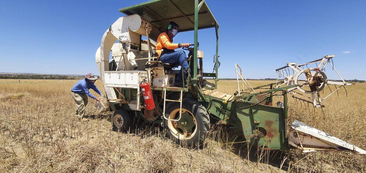 Department of Primary Industries and Regional Development is completing the first official harvest of the Future Farming Systems trial at Merredin, comparing five different farming approaches.