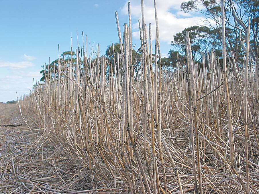 Benefits of the higher stubble residue system that have been seen interstate and internationally are focussed on improving water use efficiency, reducing wind erosion and increasing yields.