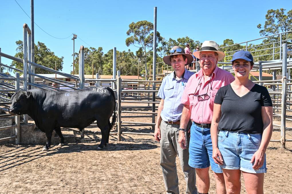Prices reached a top of $16,000 at last week's Gandy Angus bull sale at Boyanup. With the top-priced bull, Diamond One Nugget R131 (AI), is Michael Gandy (left), Gandy Angus stud, Manjimup, Terry Tarbotton, Elders, Nannup and Lex Gandy, Gandy Angus stud. The bull was knocked down to loyal client Anthony McDonald, Kuloomba Farming, Esperance.