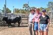 Powerful Gandy Angus sires top at $16,000