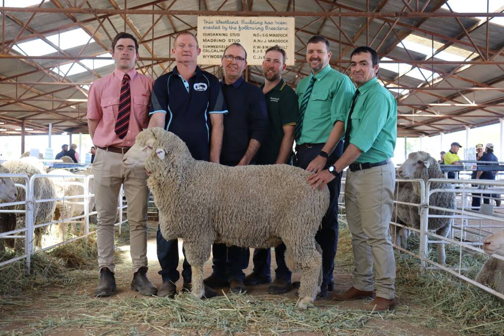 Andrew Harris (left), Elders Merredin, Calcaling Poll Merino stud principal Athol Ventris, equal top-priced buyers Gary and Shaun Shadbolt, Harold J Shadbolt & Sons, Nutrien Livestock auctioneer Terry Norrish and Danny Nixon, Mukinbudin Agencies, with the lot 29 ram, one of the three rams which sold for the sale top of $3700.