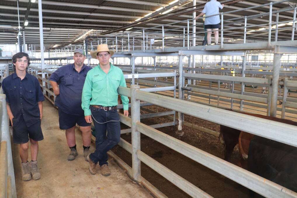 Luke Jolley (left) attended the sale with vendor Robert Mostert, Mosterts Dairy, Keysbrook, where they inspected some of their steer offering, with Nutrien Livestock auctioneer Simon Green.