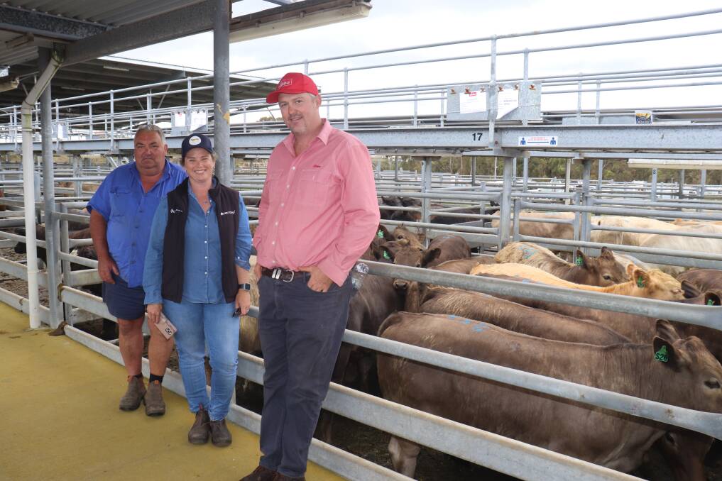 Hal McKenney (left), Bow Bridge, Alex Riggall, Summit Gelbvieh, Narrikup and Elders area manager Matt Ericsson with Mr McKenneys winning pen of steers. The steers won the section for steers weighing 350kg plus and included 16 Murray Grey cross weaner steers weighing an average of 375kg and sold for 568c/kg at $2132.