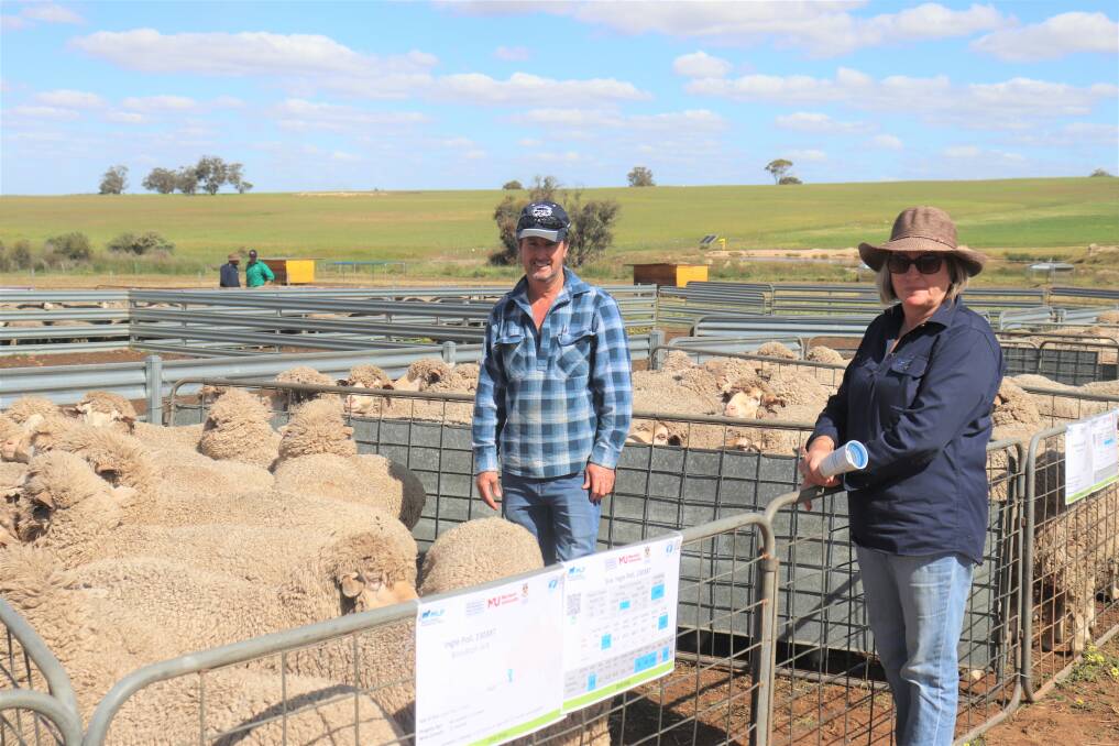 Brett (left) and Sue Whittington, Brookton, were keen to take a look at the Ingle sire progeny.