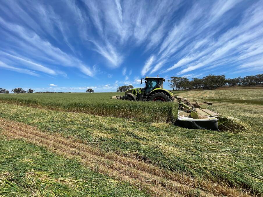 At Calingiri, the Woods family seeded 850ha to hay this year. Photo by Isaac Woods.