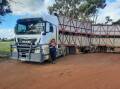 Mr Mannolini uploaded a video of cattle and sheep trucks parked up at the Nullarbor roadhouse and uploaded it to TikTok completely oblivious to how much traction it would gain.