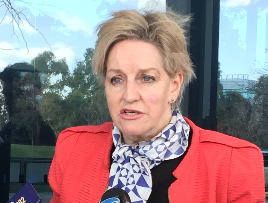Agriculture and Food Minister Alannah MacTiernan said the State government had contributed $44,000 to the cost of developing a plan for the local dairy industry and was providing a DPIRD officer to assist.