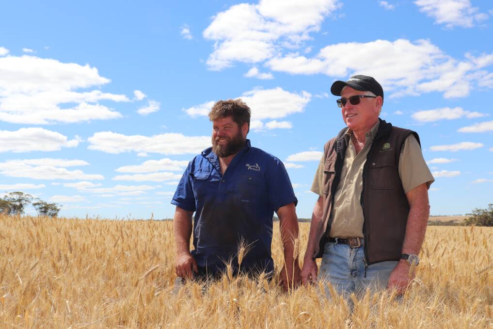 Kyle (left) and Gary Manning, owners of Arlunya farm near Yerecoin, are expecting an above average yield this harvest. 