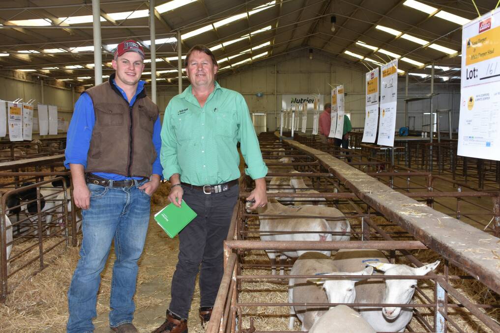 The Dorper and White Dorper ewes sold to strong demand during the sale and two of the major buyers in the shed were Clayton Mack (left), Mack Dorpers and White Dopers, Meandarra, Queensland and Nutrien Livestock Breeding representative Roy Addis. Mr Mack purchased eight Dorper ewes and four White Dorper ewes while Mr Addis purchased 13 White Dorper ewes and three Dorper ewes for Henning family, The Henning Family Trust, Wagga Wagga, NSW.