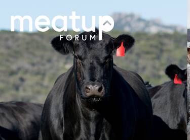 MeatUp to deliver latest red meat advice