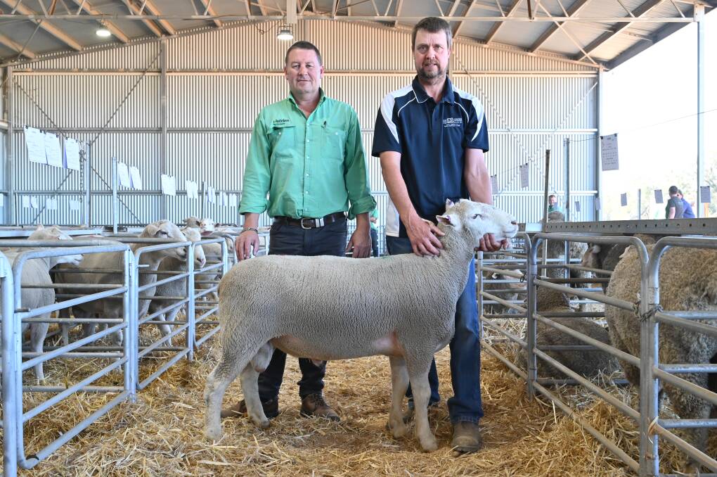 Nutrien Livestock breeding representative Roy Addis (left) and Lukin Springs stud co-principal Paul Goerling with the $3000 top-priced White Suffolk ram which Mr Addis secured on behalf of new buyer Jenny Roberts, Ambergate White Suffolk stud, Osmington, Busselton.