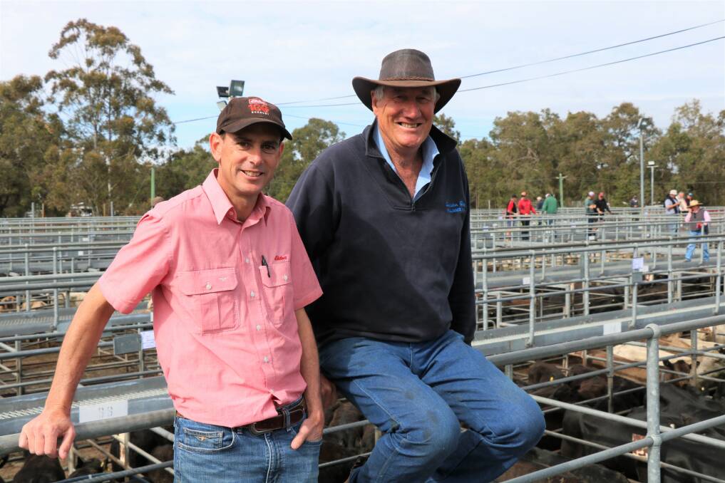 Discussing the market before the sale were Elders South West livestock manager Michael Carroll (left) and Gordon Atwell, Welldon Beef, Williams. Mr Atwell again put together a load of steers for his feedlot.