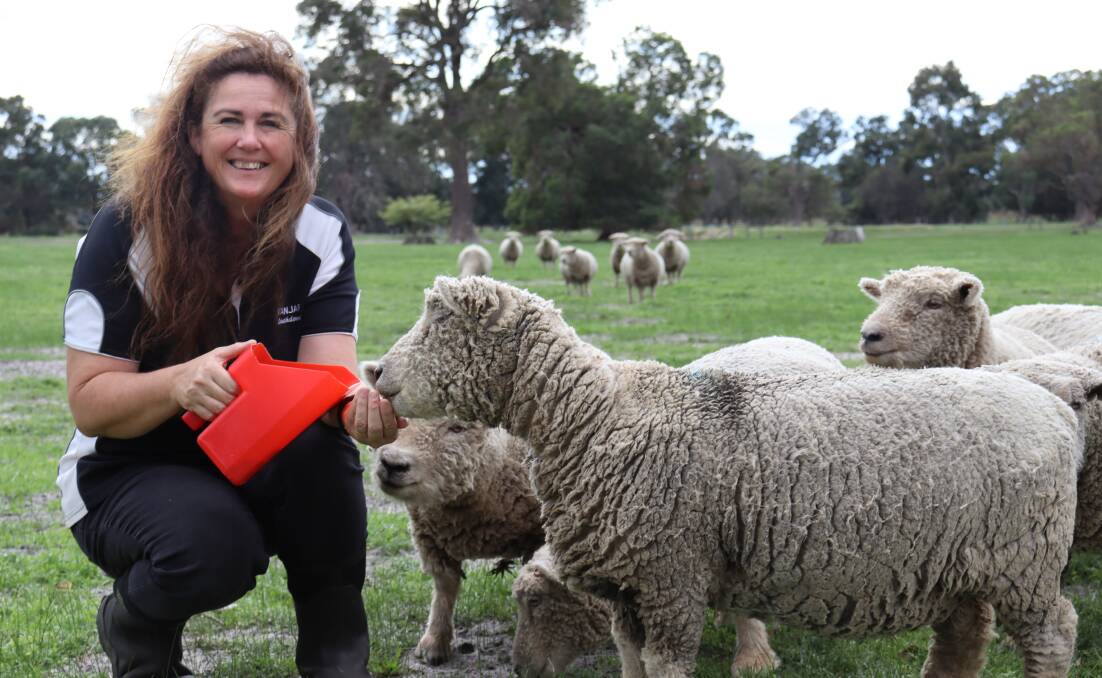 Deb Royans purchased her first Southdown ram and two ewes from Victoria in 2010, not knowing Tanjar would evolve to become the successful breeding business it is today.