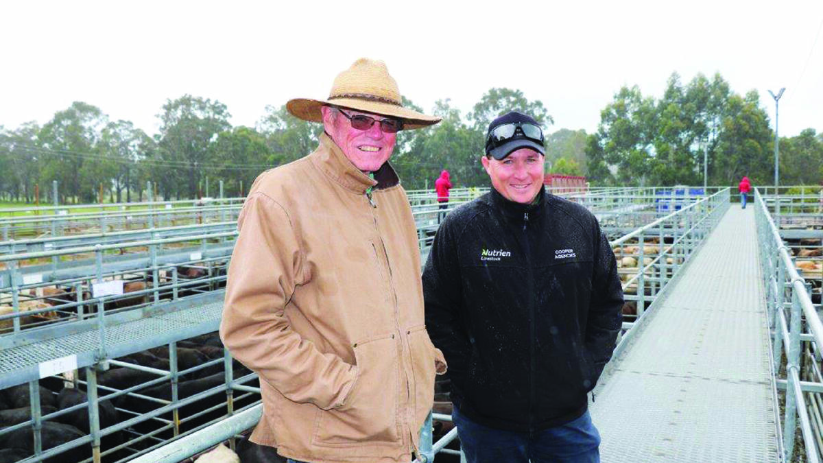 Nutrien Livestock, Mt Barker agent Harry Carroll (left) and Nutrien Livestock, Bridgetown agent Ben Cooper caught up before the sale.