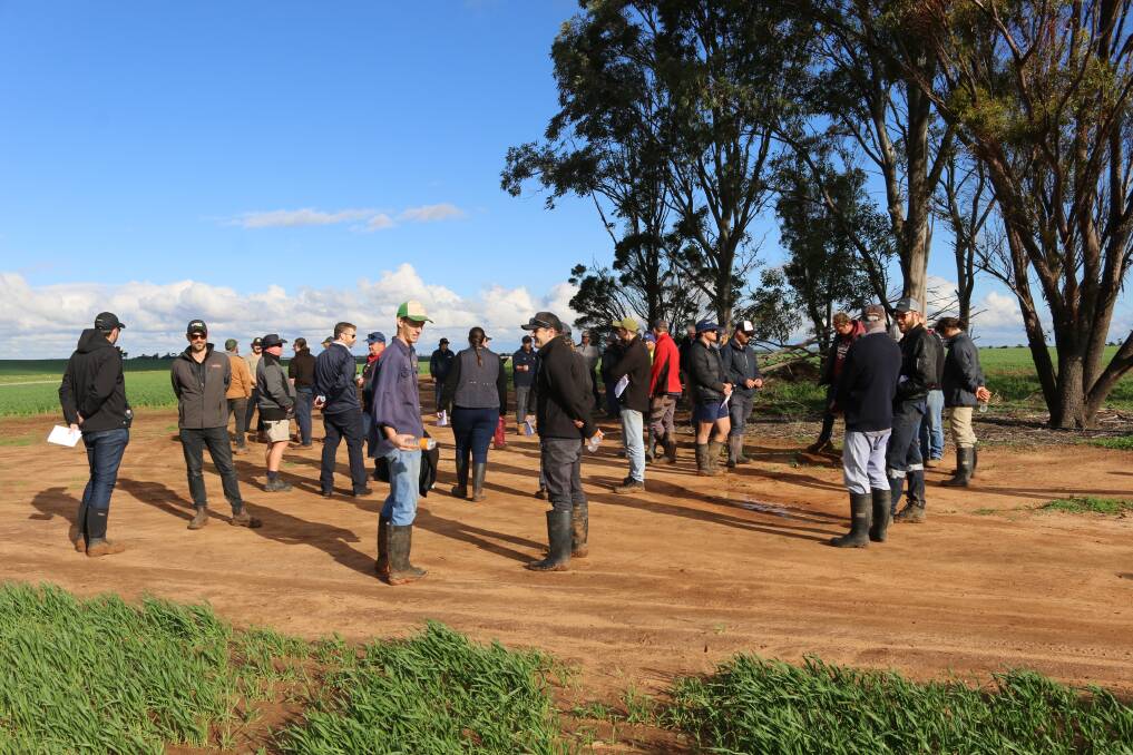 More than 70 growers and industry representatives attended the annual Post Seeding Field Walk at Dalwallinu.