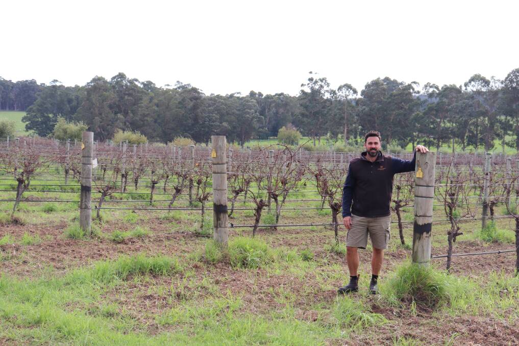Born in Soave in the north east of Italy, Japo joined the McHenry Hohnen team in 2016 after completing internships in Bordeaux, Barossa Valley, Margaret River and New Zealand.