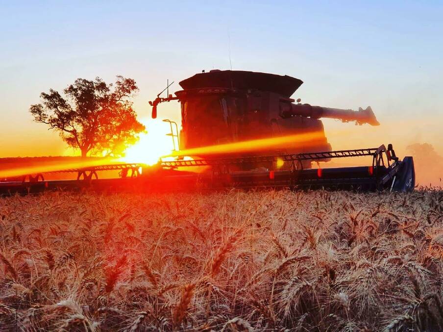 Warm rays and sunny days. This sunset picture was taken during the 2021 harvest by chaser bin driver Zac McDougall at Bidgerabbie Farm at Dandaragan.