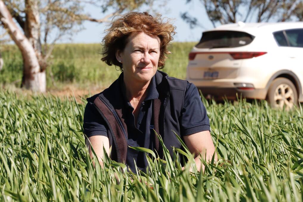 DPIRD research scientist Brenda Shackley at the Corrigin Farm Improvement Group's Spring Field Day on September 7. Photo by Veronika Crouch, CFIG.
