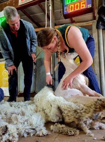 WA College of Agriculture, Cunderdin, year 11 student Zarah Squiers learnt to shear her first full sheep this year, recently competing in a shearing competition at Dinninup. She grew up on her familys 5500 hectare sheep and cropping property, south of Quairading.