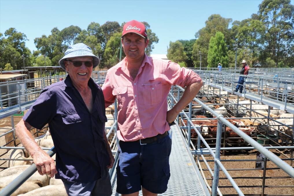 Eric Angel (left), Harvey, inspected the cattle line-up with Elders Boyanup representative Alex Roberts. Mr Roberts bought several pens for clients during the sale.
