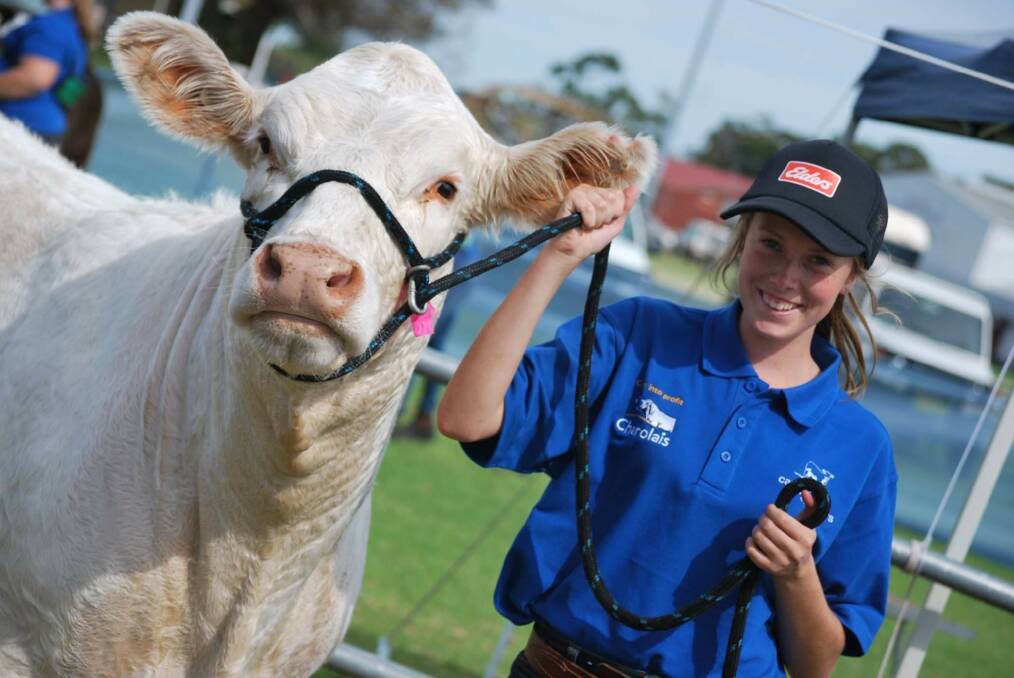 Ms Cavenagh's earliest childhood memories involve showing Charolais at WA country shows and Perth Royal Shows.