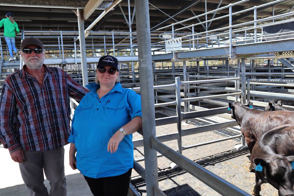 Steve Lonogan and Sue Bickford looked over the cattle entered in this year's Harvey Beef Gate 2 Plate Challenge.