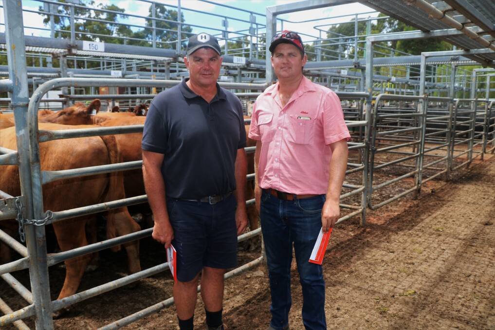 Mark Harris (left), Treeton Lake, Cowaramup and Dardanup, caught up with Elders, Boyanup/Dardanup representative Alex Roberts post sale. Mr Harris wore two hats at the sale. He sold several pens of heifers, including the sale's $4700 top price pen which contained six PTIC Red Angus heifers and purchased the cows and calves from KS & EN Roberts & Son, Elgin.