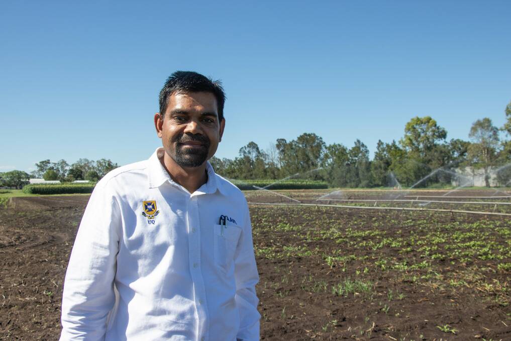 Bhagirath Chauhan, University of Queensland, said there are some tank mixes and herbicide sequences that growers could deploy to help manage feathertop rhodes grass and stop seed set.