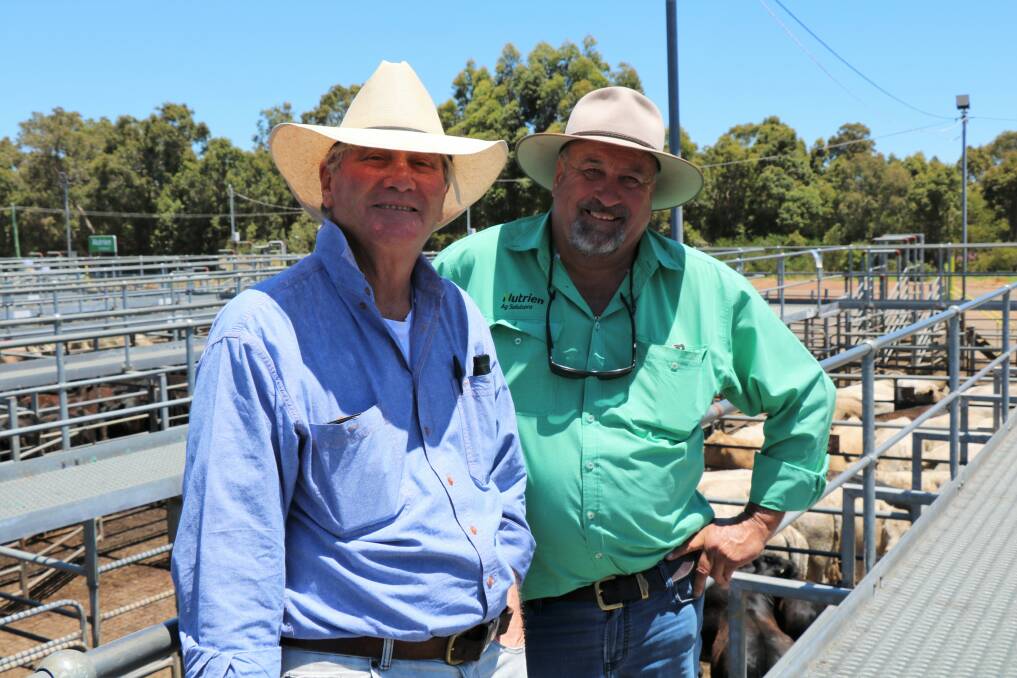 Buyer John Gallop (left), Mandurah, with Nutrien Livestock, South West livestock manager Peter Storch caught up before the sale.