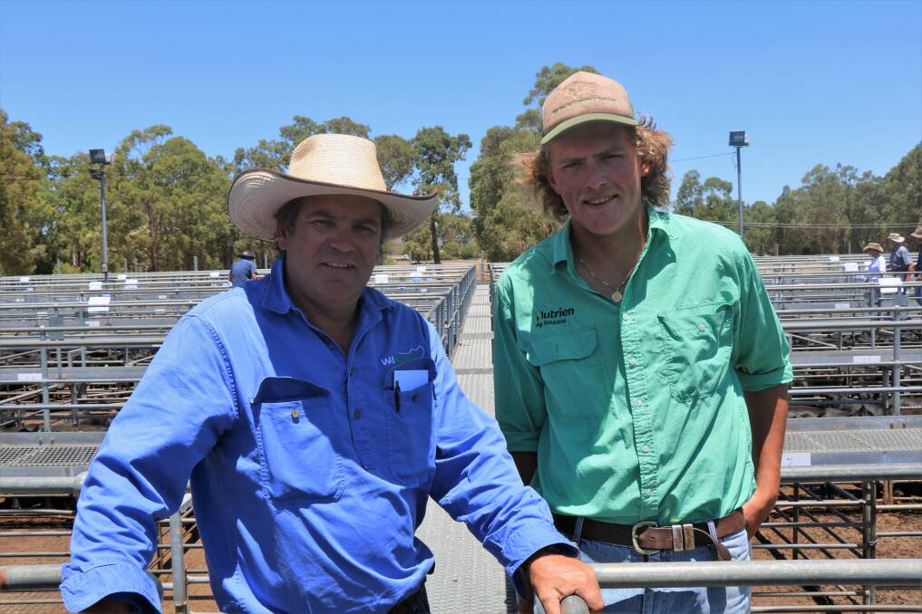 Nutrien Livestock, Geraldton agent Richard Keach (left), looked over the yarding with Nutrien Livestock, Williams representative Louis Payne.