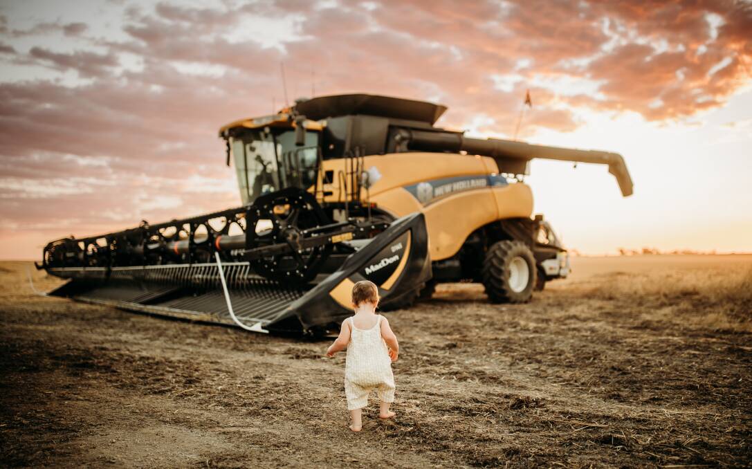 "My turn Bobby". Hayley Grylls, 1, was off to jump on the header for a quick sunset ride at Bulyee. The Grylls family finished harvest on December 30, with just a few paddocks of straw left to bale before they packed everything away for another season.