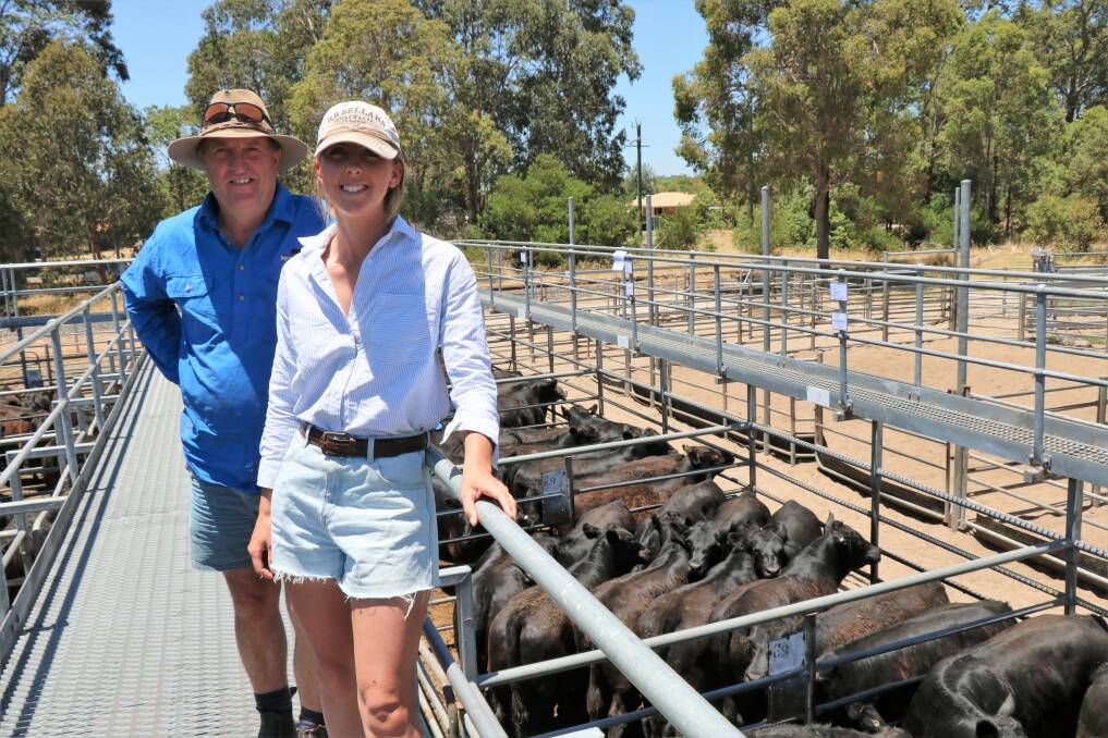 Mark Muir and daughter Diana, GD Muir & Co, Mordallup Angus stud, Manjimup, looking over some of their quality calves in the sale that sold to $2237.