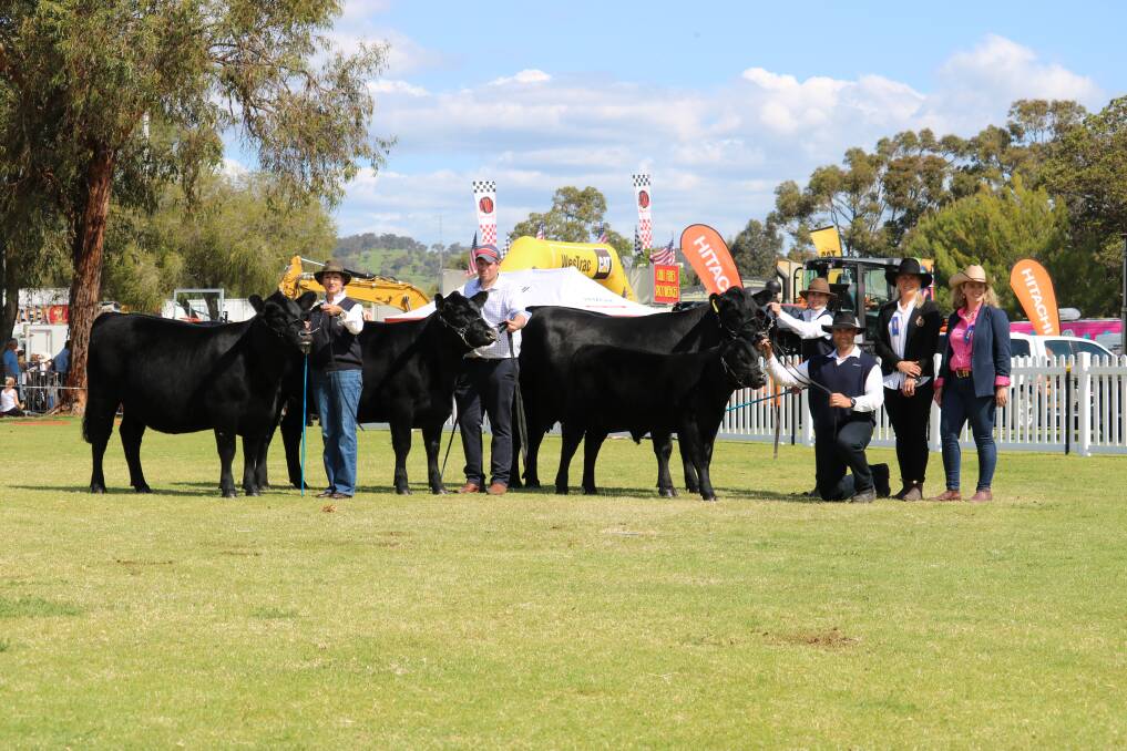 With the Harvey Beef Classic interbreed team of three winning group from Little Meadows Angus stud, Dardanup, were Little Meadows co-principal Karen Golding (left), handler Lachlan Fry, Trinity and Jayden Edwards, Little Meadows and judges Clare King and Alexandra Riggall, Summit Gelbvieh stud, Narrikup.