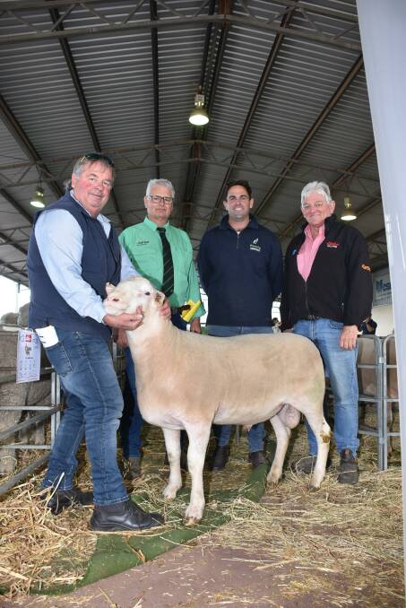 In the Iveston studs offering of White Suffolk rams prices topped at $1600. With one of the studs $1600 top-priced rams were stud co-principal Grant Bingham (left), Nutrien Livestock Williams representative Peter Moore, this rams buyer Mitchell Hogg, Williams and Elders Williams agent Graeme Alexander, who purchased the studs other top-priced ram for Congeling Grazing, Williams.