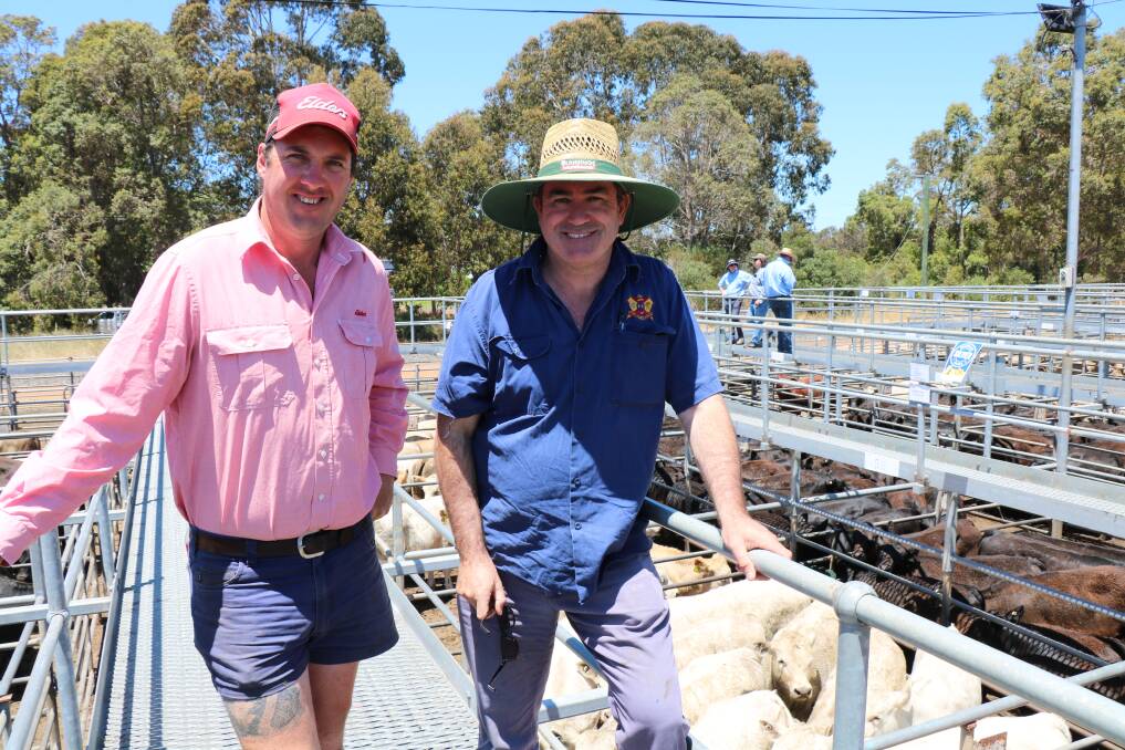 Cameron Harris (left), Elders, Manjimup, brought Shaun East, Manjimup, to the WALSA weaner cattle sale at Boyanup last week where Mr Harris purchased several pens of lighter weight calves for his clients.