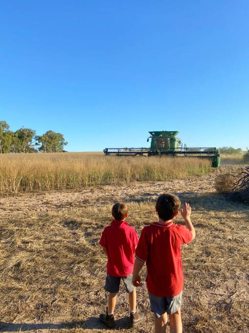 The Mingenew Primary School P&C community crop dates back to 1959, with the funds going directly to benefit the children of Mingenew by providing resources, infrastructure and programs for all students at the school, including Oscar, 7 (left) and Angus McTaggart, 8.