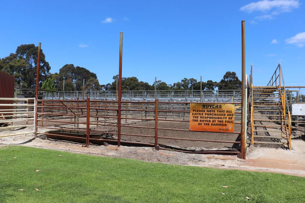 Next January the Shire of Capel will vote whether to renew its lease agreement of the Boyanup Saleyard