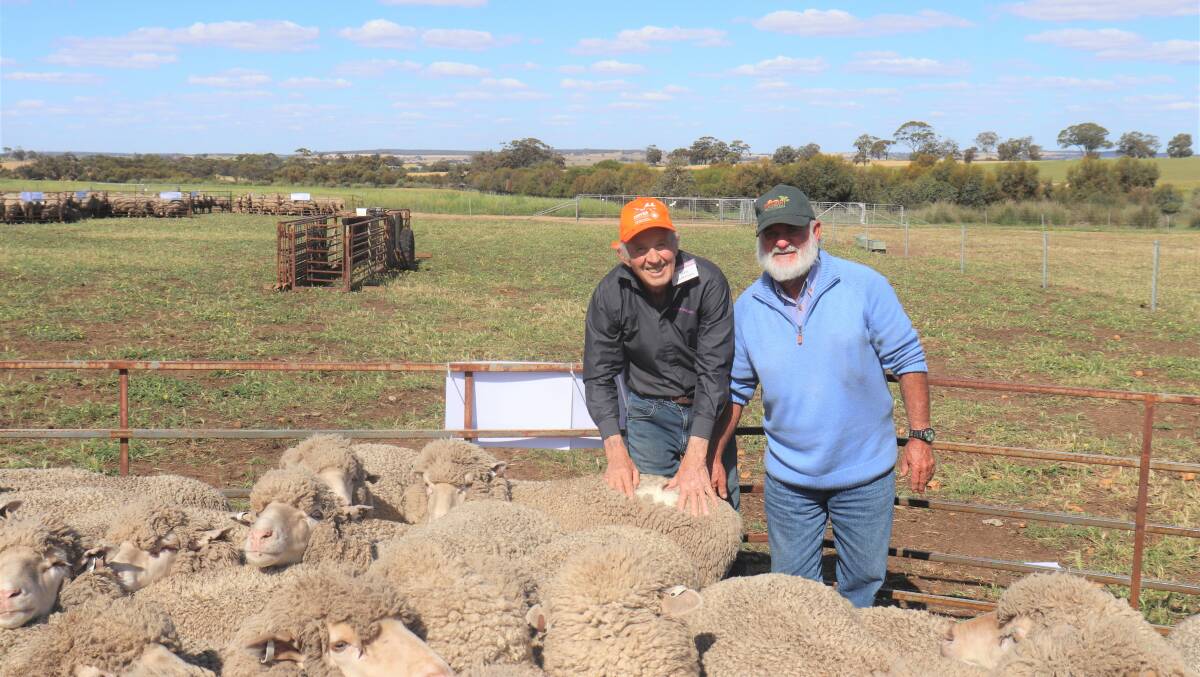 Alan Anderson (left), Anderson Ram stud, Kojonup and Charlie Hick, Roleystone, looking over the Anderson Ram sire progeny .