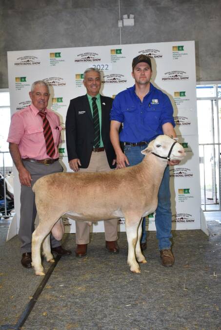 With the $22,500 top-priced Yonga Downs White Suffolk ram which was purchased by the Ledwith familys Kolindale White Suffolk stud, Dudinin, at the 2022 Perth Royal Show All Breeds Ram & Ewe Sale were Elders stud stock auctioneer Preston Clarke (left), Nutrien Livestock state manager Leon Giglia who represented the buyer over the phone and Yonga Downs stud principal Brenton Addis, Gnowangerup.
